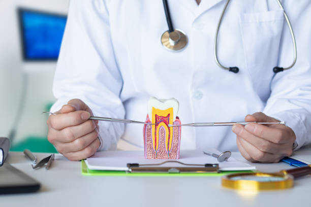 Best Emergency Root Canal Treatment in Farmington, IL